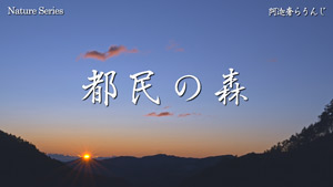 都民の森